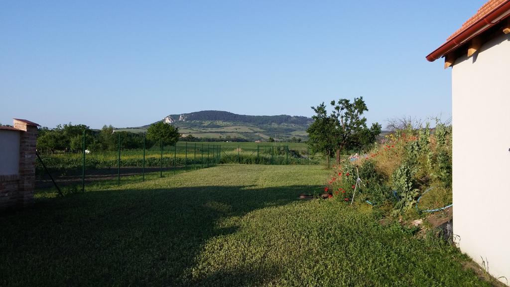 Penzion Dolní Dunajovice 外观 照片