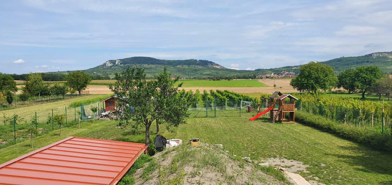 Penzion Dolní Dunajovice 外观 照片